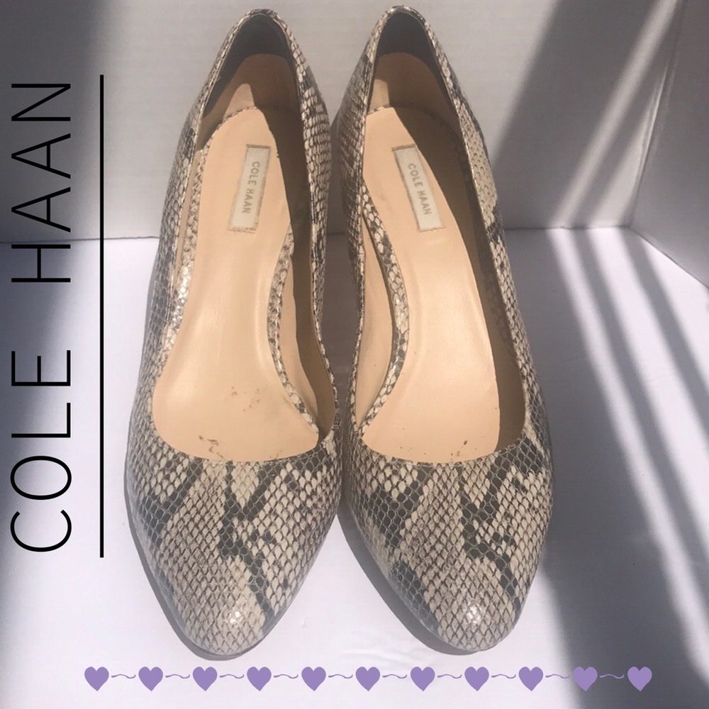🔥SOLD 🔥COLE HAAN SNAKESKIN HEELS